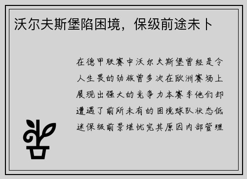 沃尔夫斯堡陷困境，保级前途未卜